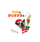 はるくんりひとくんクリスマス＆お正月（個別スタンプ：6）