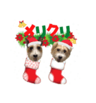 はるくんりひとくんクリスマス＆お正月（個別スタンプ：8）