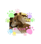 ダックスとトイプのひと言（個別スタンプ：7）