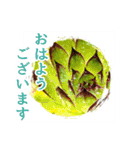 花と多肉植物 日常会話スタンプ（個別スタンプ：1）