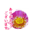 花と多肉植物 日常会話スタンプ（個別スタンプ：6）