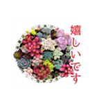 花と多肉植物 日常会話スタンプ（個別スタンプ：7）