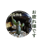 花と多肉植物 日常会話スタンプ（個別スタンプ：8）