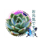 花と多肉植物 日常会話スタンプ（個別スタンプ：9）