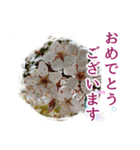 花と多肉植物 日常会話スタンプ（個別スタンプ：16）
