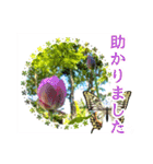 花と多肉植物 日常会話スタンプ（個別スタンプ：17）