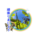 花と多肉植物 日常会話スタンプ（個別スタンプ：22）