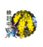 花と多肉植物 日常会話スタンプ（個別スタンプ：23）
