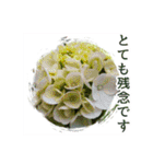 花と多肉植物 日常会話スタンプ（個別スタンプ：24）