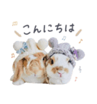 うさぎ の ましゅ❤︎まろん（個別スタンプ：2）