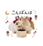うさぎ の ましゅ❤︎まろん（個別スタンプ：3）