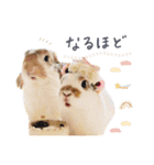 うさぎ の ましゅ❤︎まろん（個別スタンプ：4）