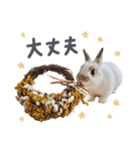 うさぎ の ましゅ❤︎まろん（個別スタンプ：6）