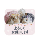 うさぎ の ましゅ❤︎まろん（個別スタンプ：7）