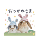 うさぎ の ましゅ❤︎まろん（個別スタンプ：8）