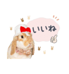 うさぎ の ましゅ❤︎まろん（個別スタンプ：9）