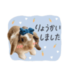うさぎ の ましゅ❤︎まろん（個別スタンプ：10）