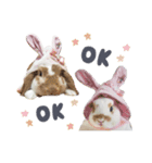 うさぎ の ましゅ❤︎まろん（個別スタンプ：11）
