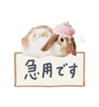 うさぎ の ましゅ❤︎まろん（個別スタンプ：12）