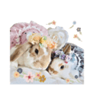 うさぎ の ましゅ❤︎まろん（個別スタンプ：15）