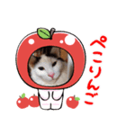 Animal rescue Kiseki（個別スタンプ：6）
