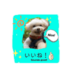 I loveマルポメくん！（個別スタンプ：2）
