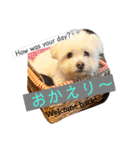 I loveマルポメくん！（個別スタンプ：11）