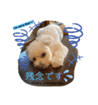 I loveマルポメくん！（個別スタンプ：15）