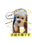 I loveマルポメくん！（個別スタンプ：17）