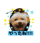 I loveマルポメくん！（個別スタンプ：19）