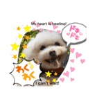 I loveマルポメくん！（個別スタンプ：23）