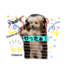 I loveマルポメくん！（個別スタンプ：30）