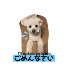 I loveマルポメくん！（個別スタンプ：34）