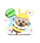 I loveマルポメくん！（個別スタンプ：35）