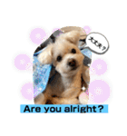 I loveマルポメくん！（個別スタンプ：40）