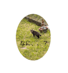 フォルダ内スタンプ（個別スタンプ：4）