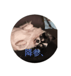 フォルダ内スタンプ（個別スタンプ：8）