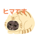 愛猫レオの日常（個別スタンプ：5）