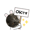 愛猫レオの日常（個別スタンプ：6）