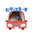 愛猫レオの日常（個別スタンプ：7）