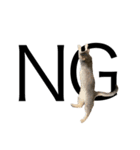 猫と言葉遊び（個別スタンプ：8）