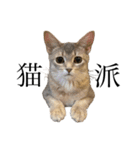 猫と言葉遊び（個別スタンプ：38）