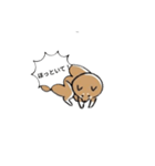 ゆったり柴わんこ（個別スタンプ：5）