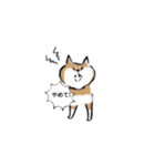 ゆったり柴わんこ（個別スタンプ：8）