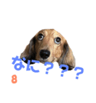 えいとスタンプ(・∀・)（個別スタンプ：6）