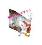 猫たちの戯れ（個別スタンプ：14）