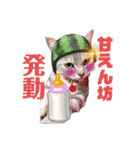 猫たちの戯れ（個別スタンプ：15）