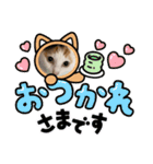 三毛猫のリリィ（個別スタンプ：4）