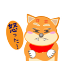 柴犬創太日常 (2)（個別スタンプ：1）