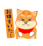 柴犬創太日常 (2)（個別スタンプ：3）